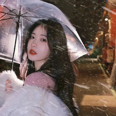 雪地灵犬3